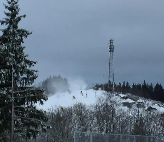 Rad-ski アパート ヴィンターベルク